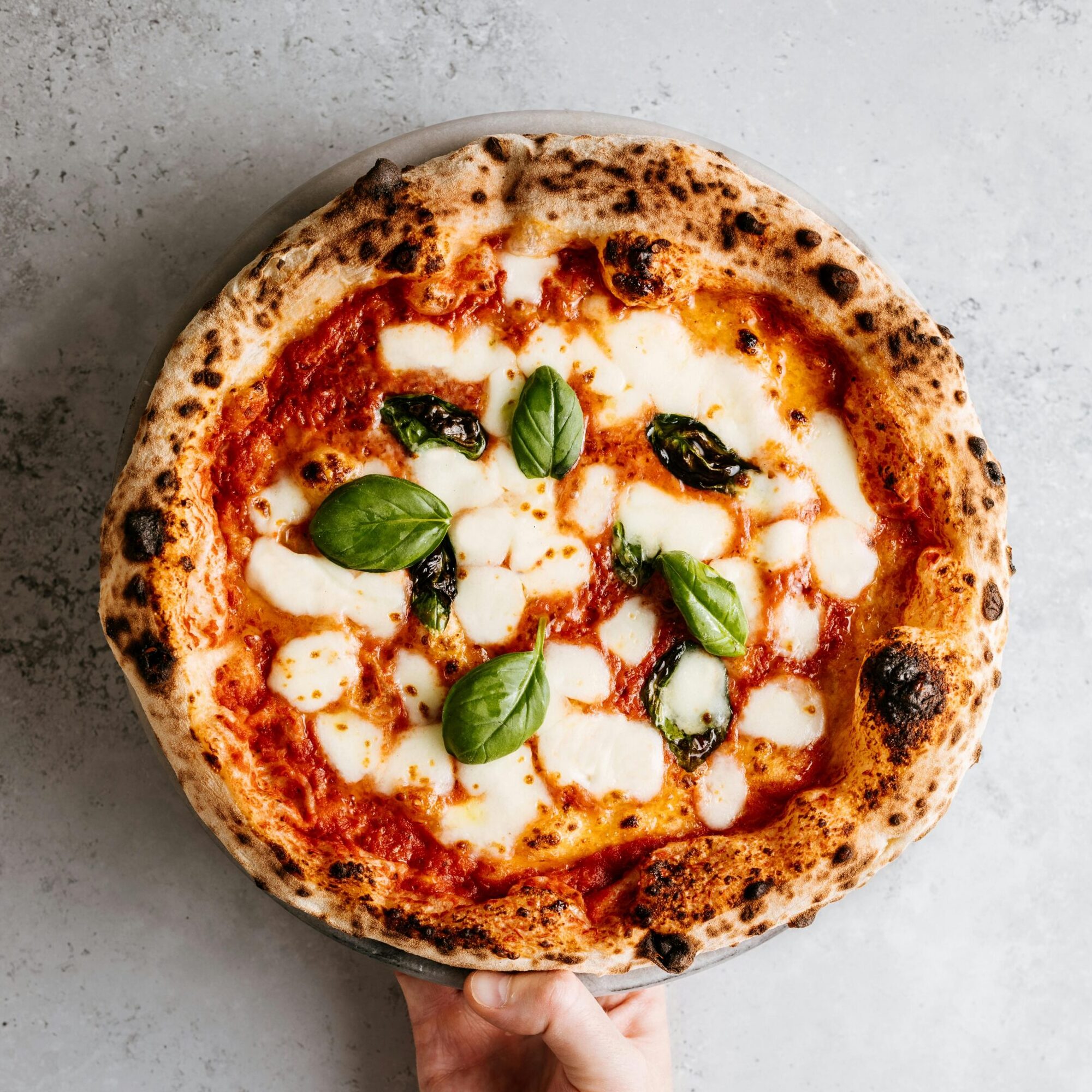 Close-up of a fresh Margherita pizza with mozzarella and basil, held over a gray background.
